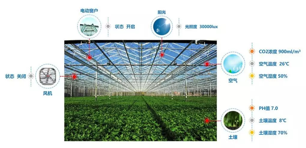 顺舟智能推出智慧农业物联网解决方案